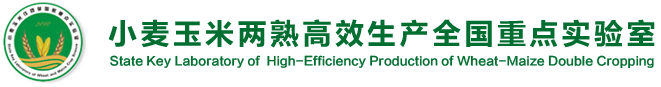 小麦玉米作物学国家重点实验室