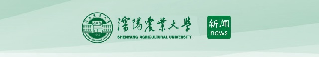 新闻网