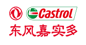 东风嘉实多油品有限公司
