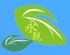 首页