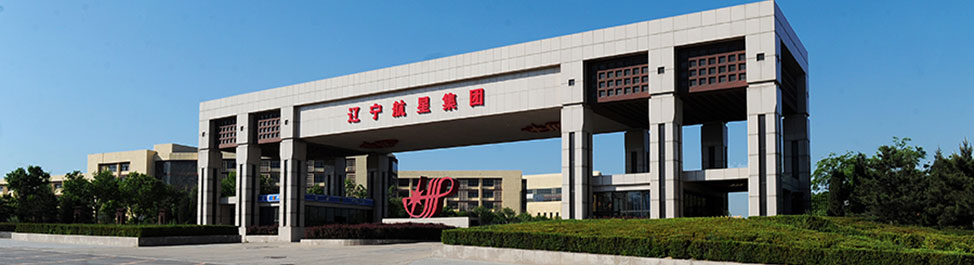 锦州航星集团有限公司