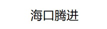 海口腾进网络科技有限公司