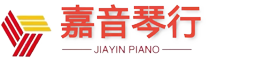 武汉市武昌区嘉音琴行