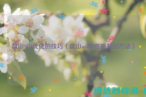 盘山SEO优化的技巧（盘山seo排名提升的方法）_SEO优化