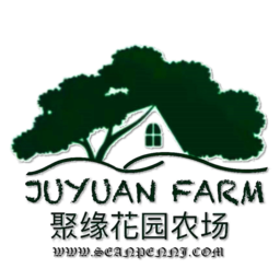 思途旅游CMS