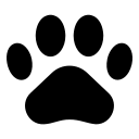 XIN宇云