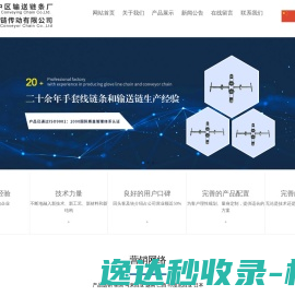 专业链条输送链
